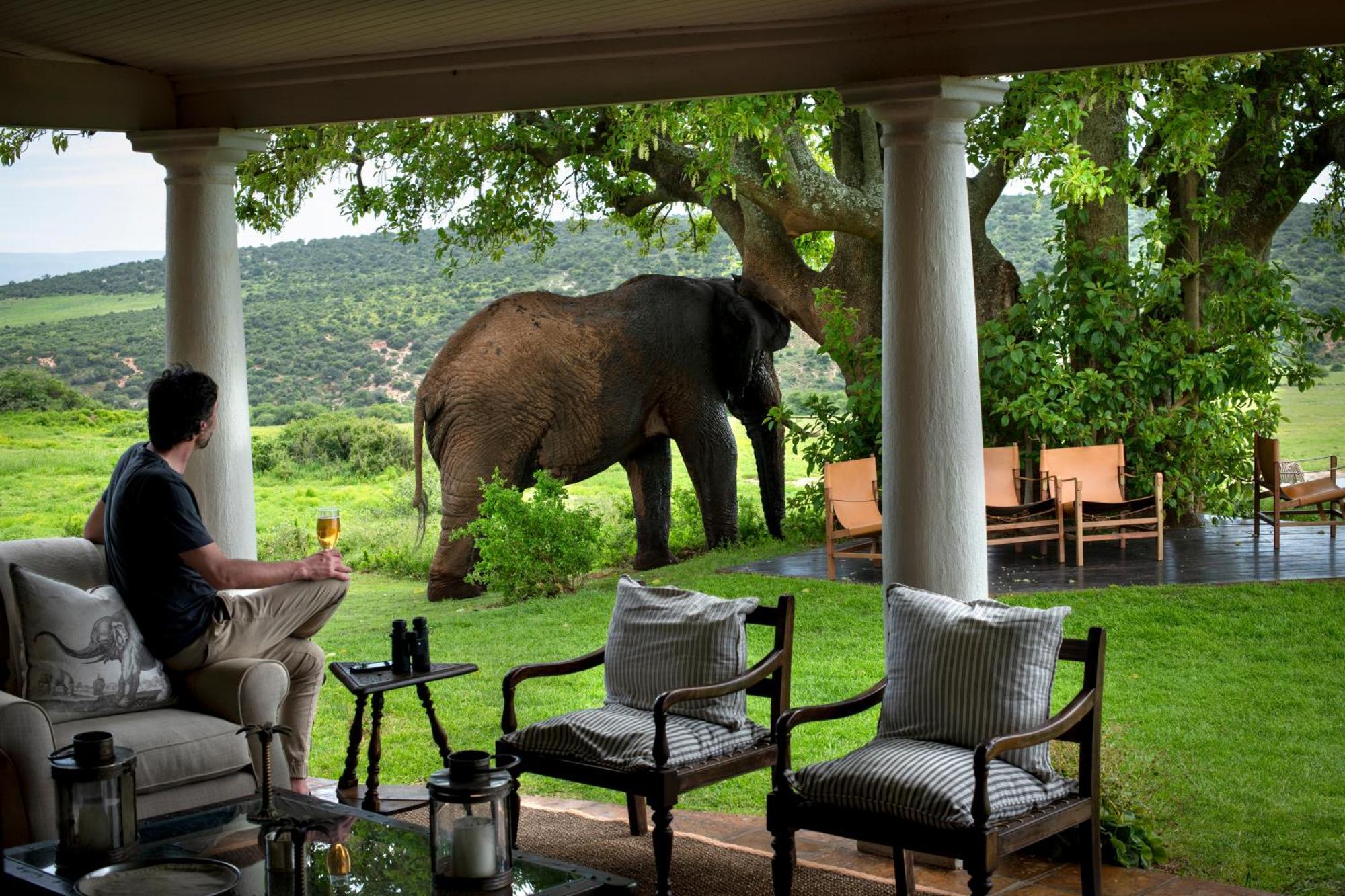 Gorah Elephant Camp Аддо Экстерьер фото