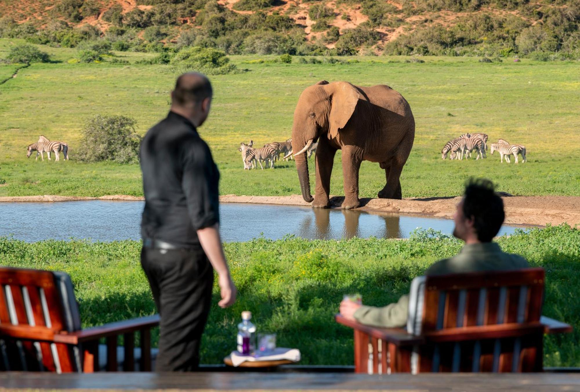 Gorah Elephant Camp Аддо Экстерьер фото