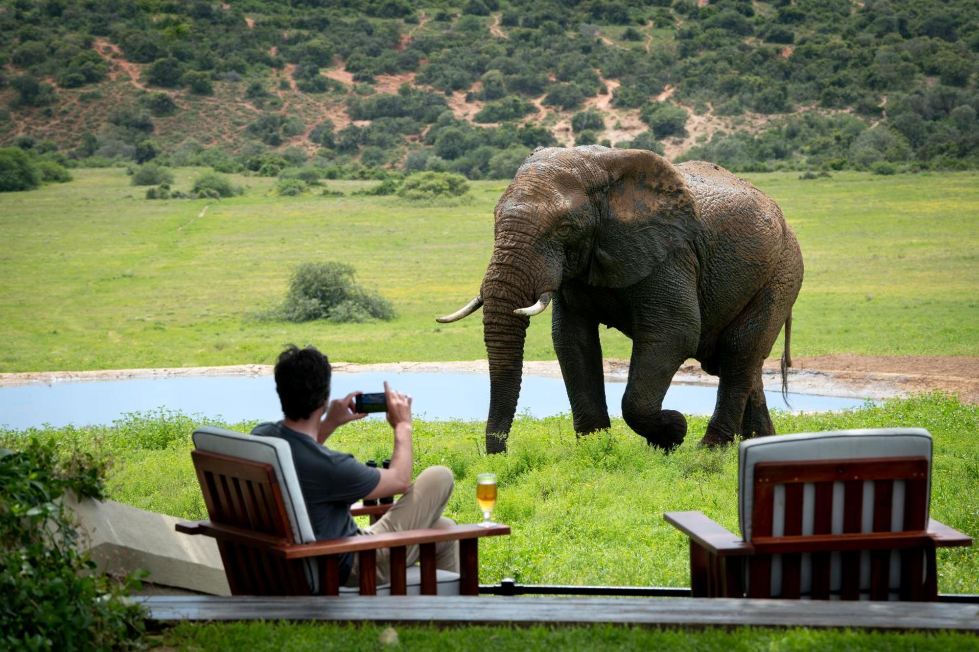Gorah Elephant Camp Аддо Экстерьер фото