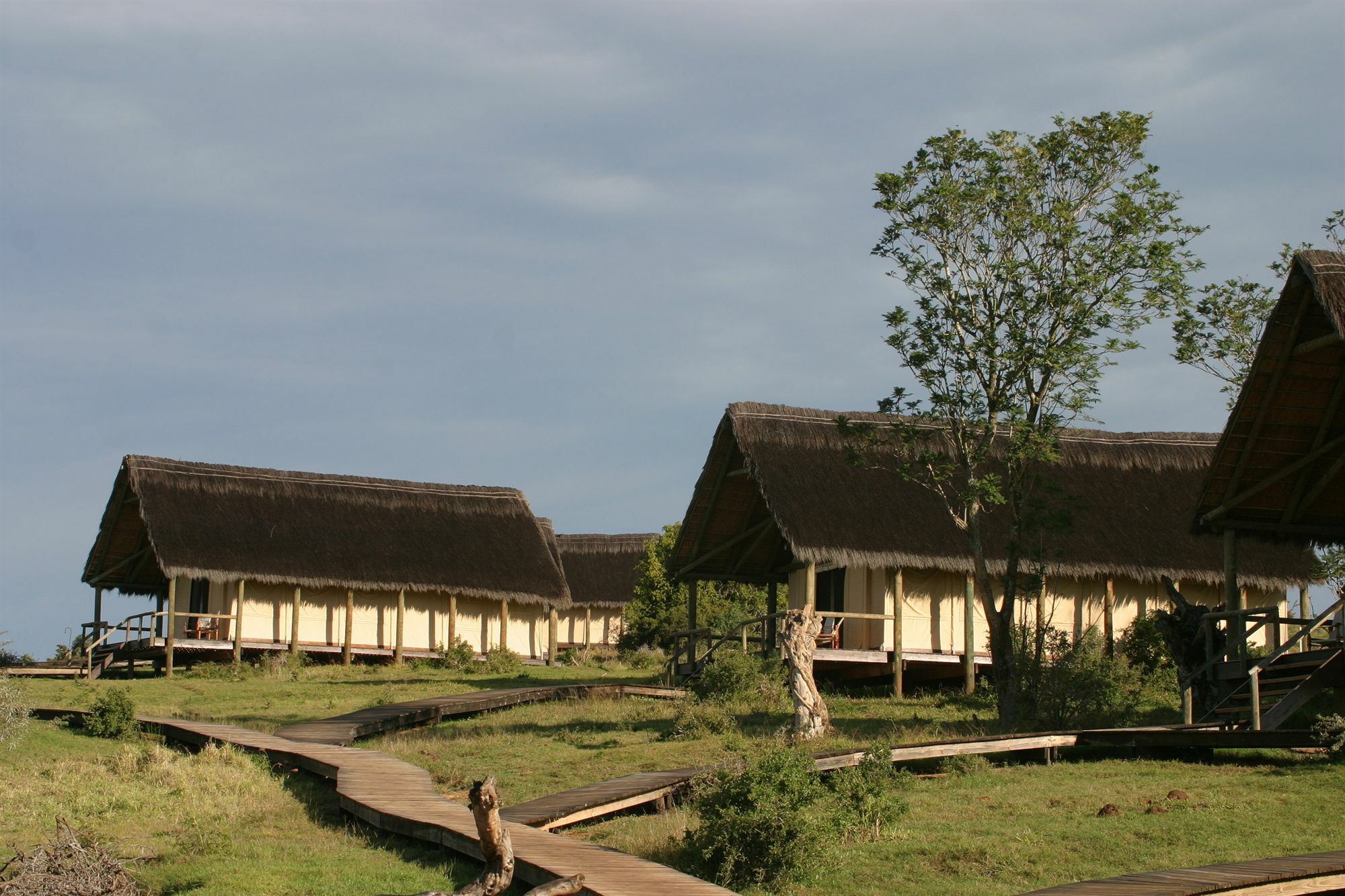 Gorah Elephant Camp Аддо Экстерьер фото
